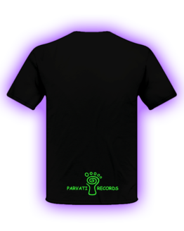 PARVATI LOGO ORIGINAL FRENTE GRANDE 1 COR VERDE COSTAS